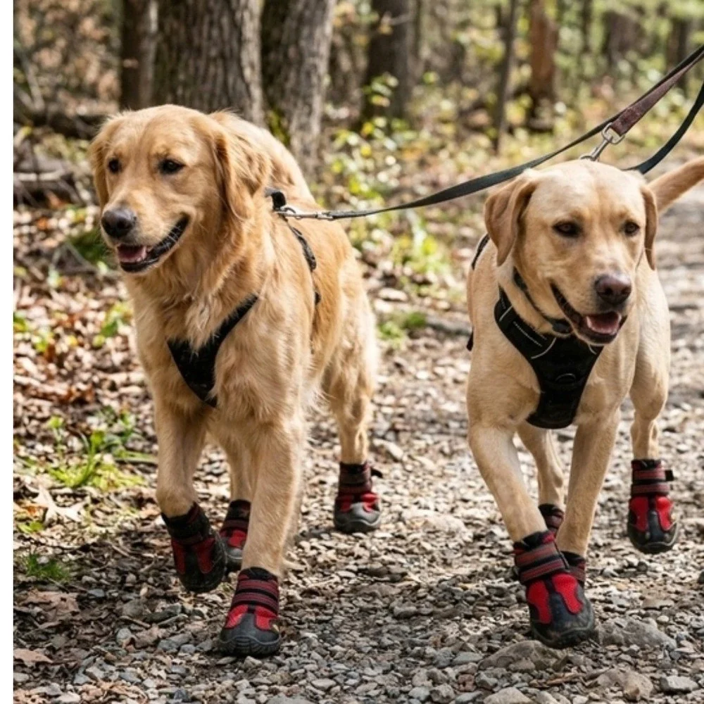 Red and Black Protective Dog Booties Secure Fit Outdoor Paw Shoes Size 1